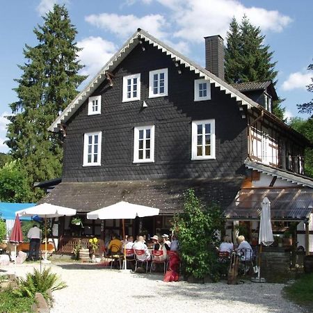 Doppelzimmer / Landhaus Ederlust Heilungsraeume E.V. Bed & Breakfast Hatzfeld Luaran gambar