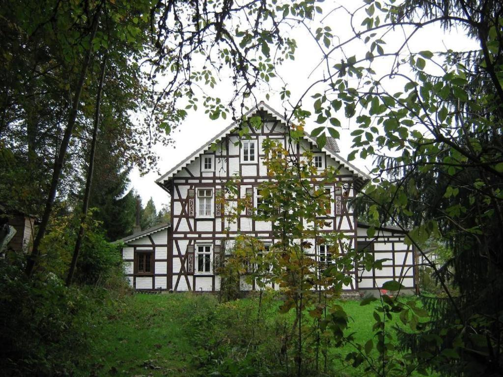 Doppelzimmer / Landhaus Ederlust Heilungsraeume E.V. Bed & Breakfast Hatzfeld Luaran gambar